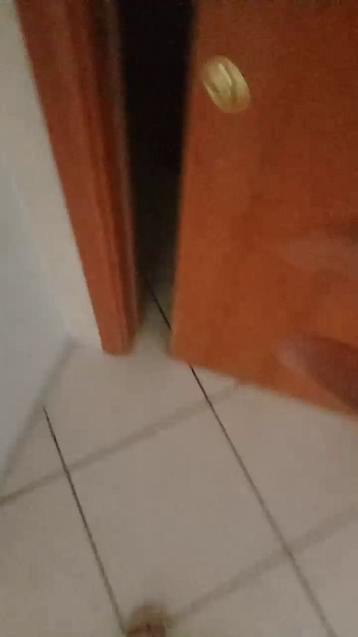 Divertiamoci86