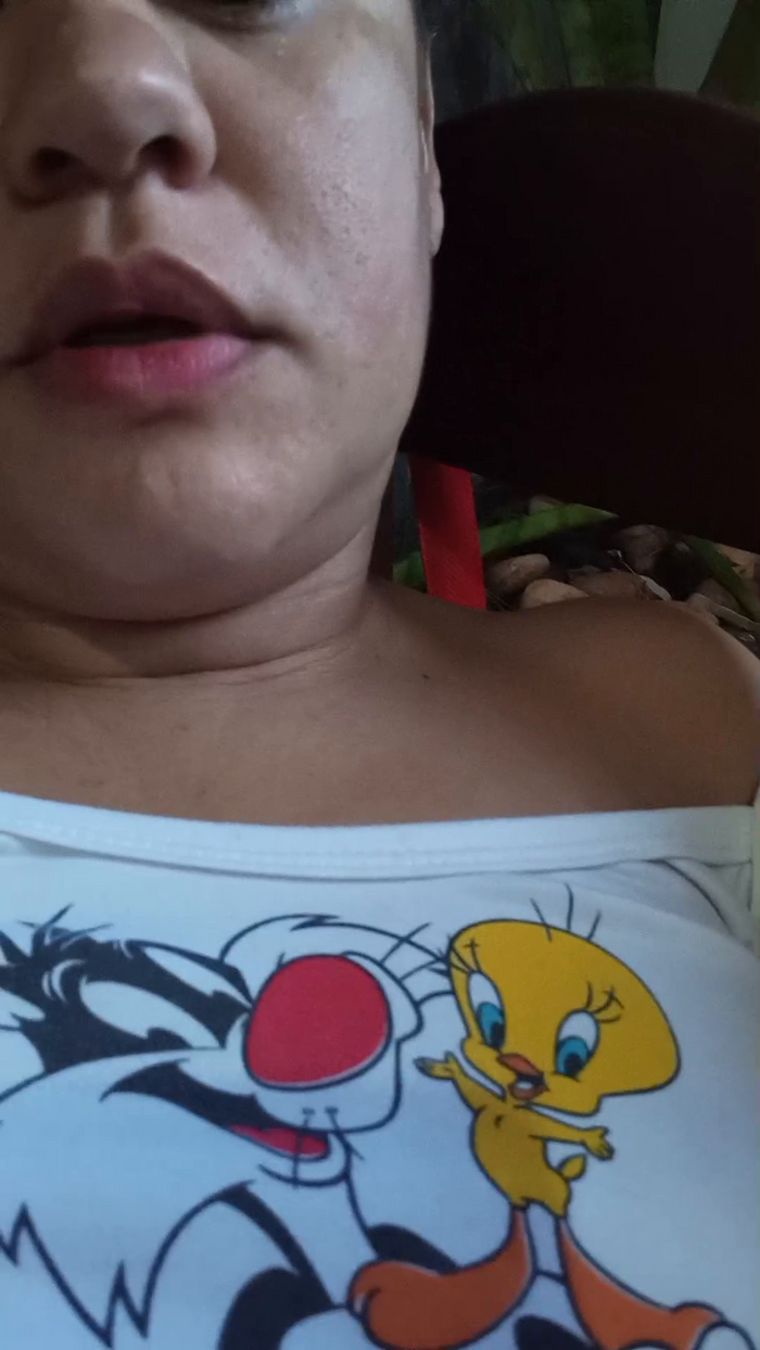 lorinha3_hot