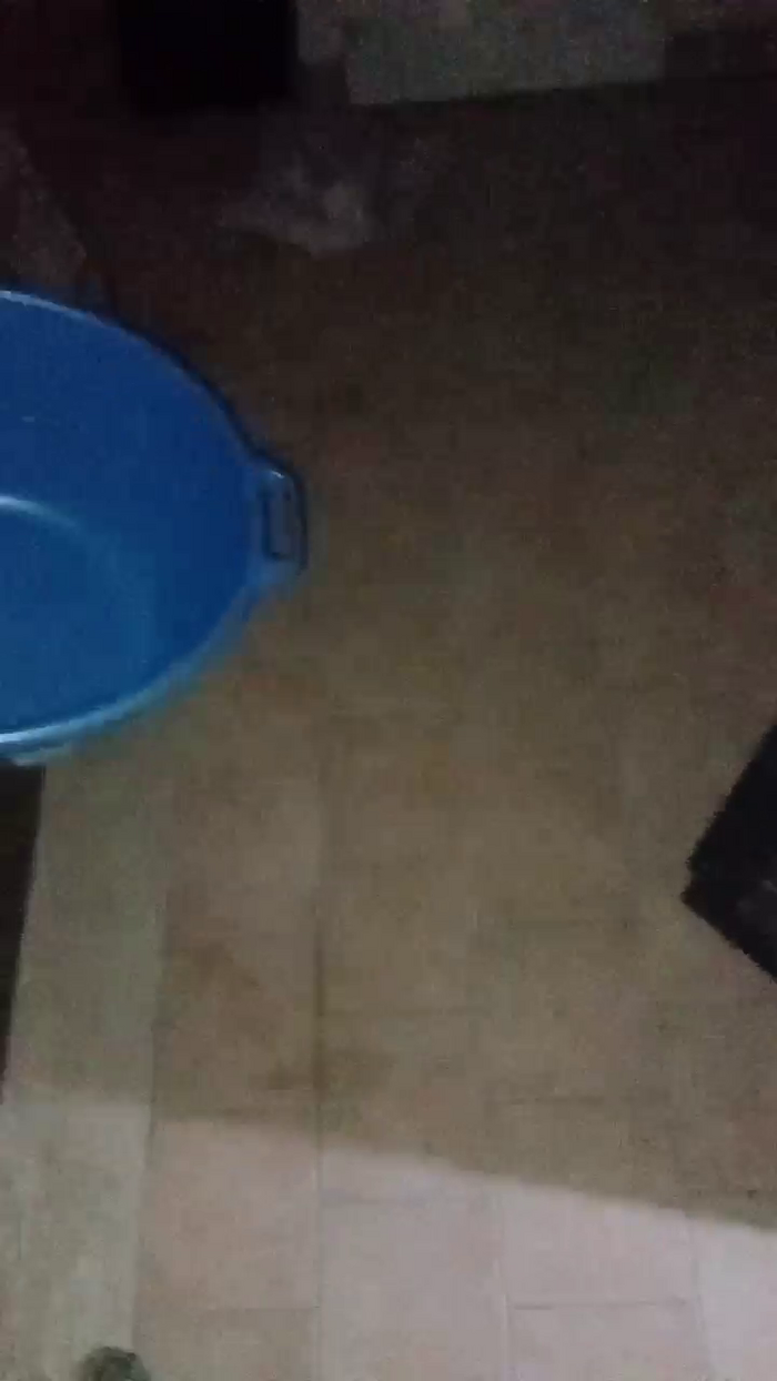 Divertiamoci86