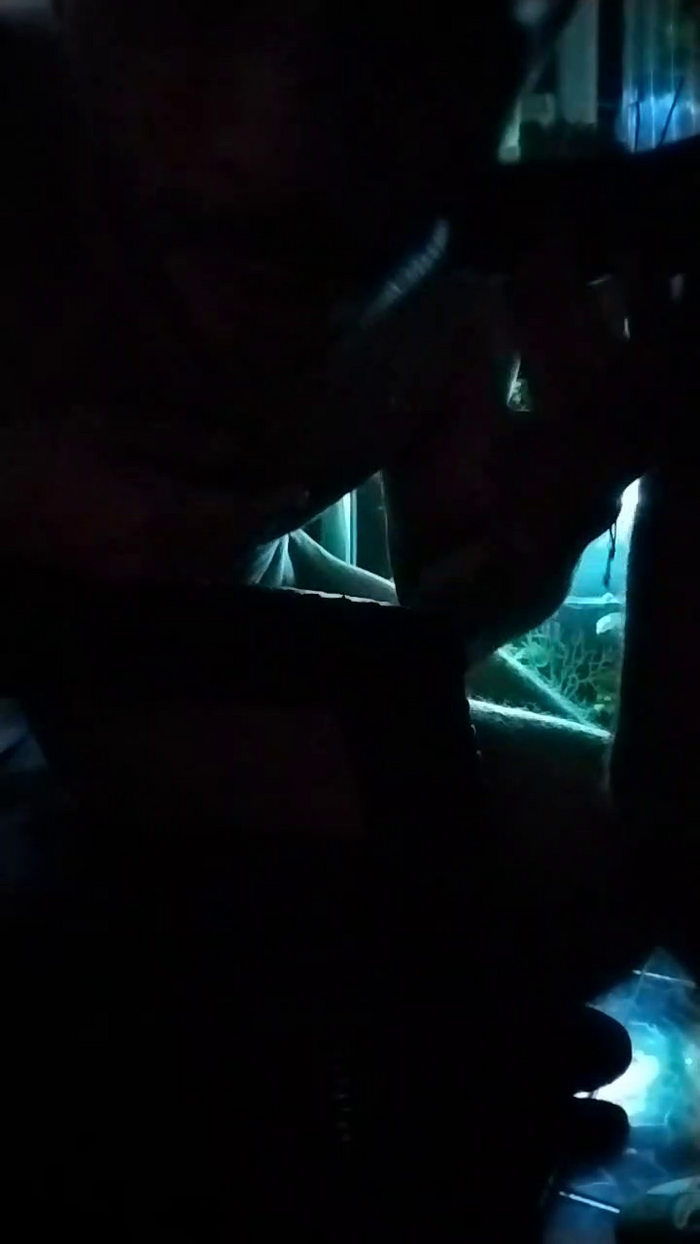Sexylatinogay
