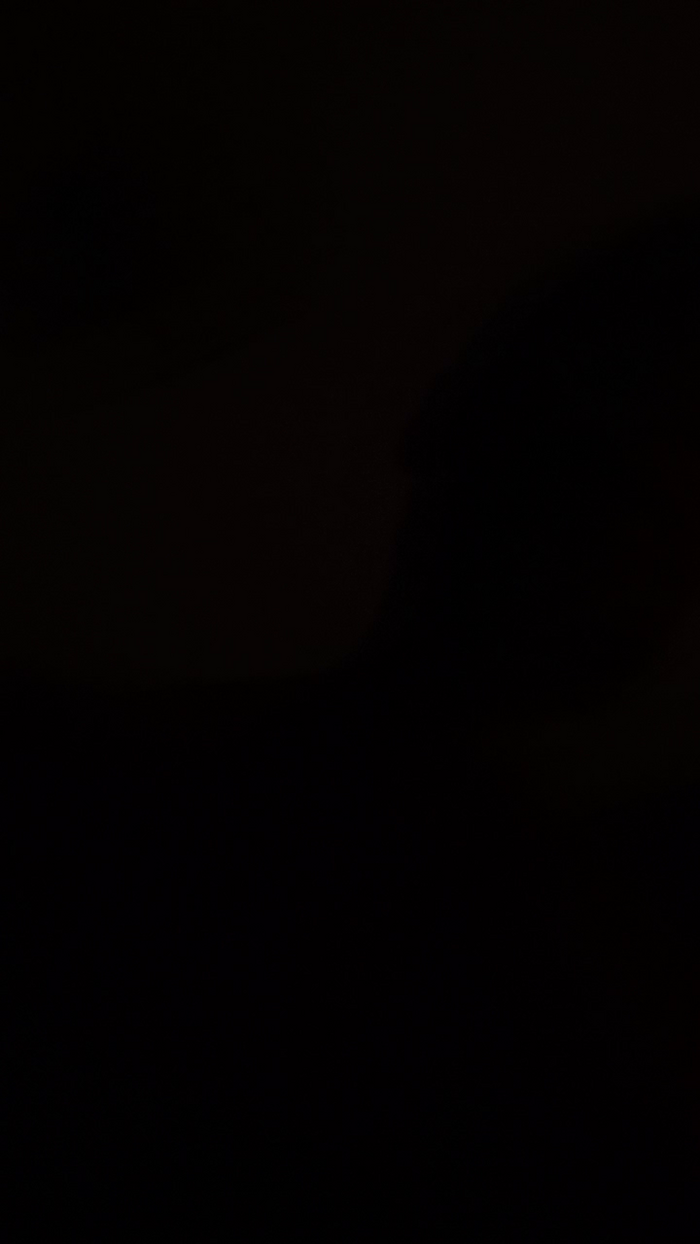 Magagna91