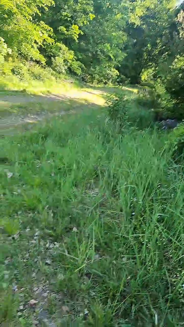 Outdoorgeil1