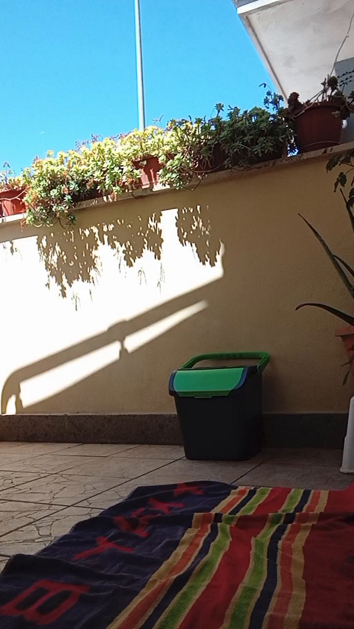 AriannaSecret