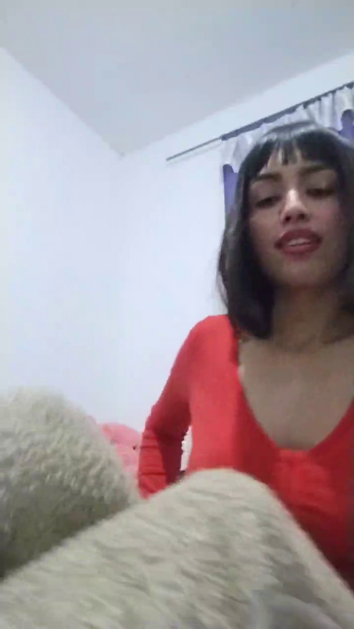 Camigemido