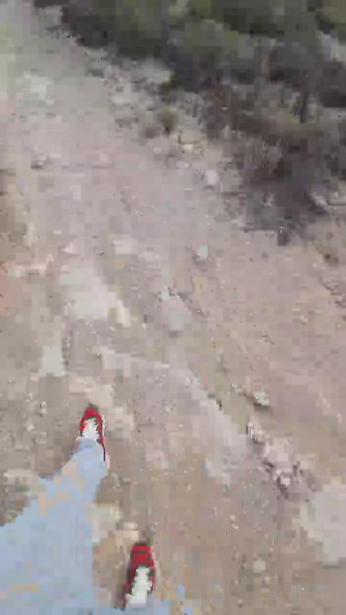 El_ceco