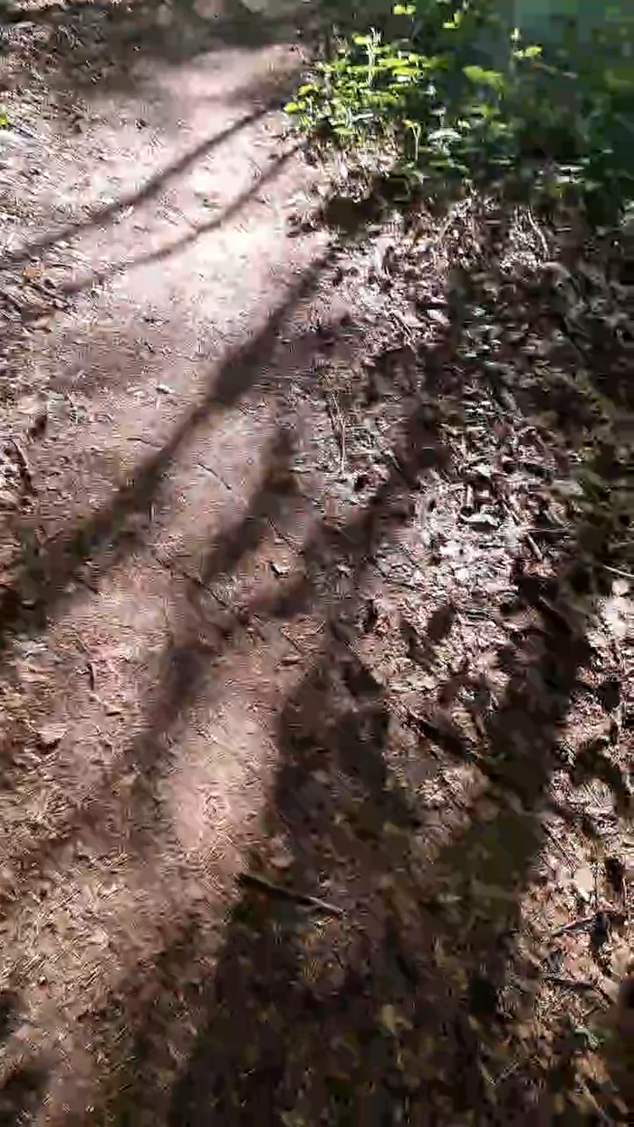 Outdoorgeil1