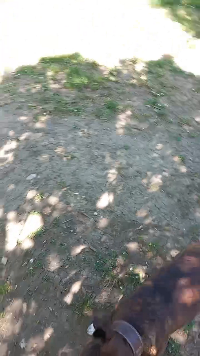 Magagna91