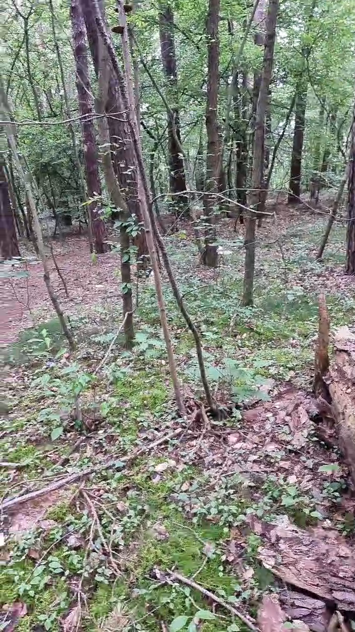 Outdoorgeil1