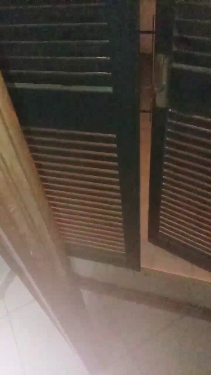 Divertiamoci86
