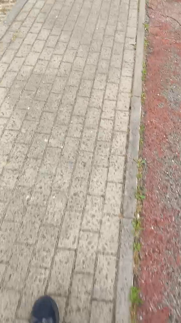 Magagna91