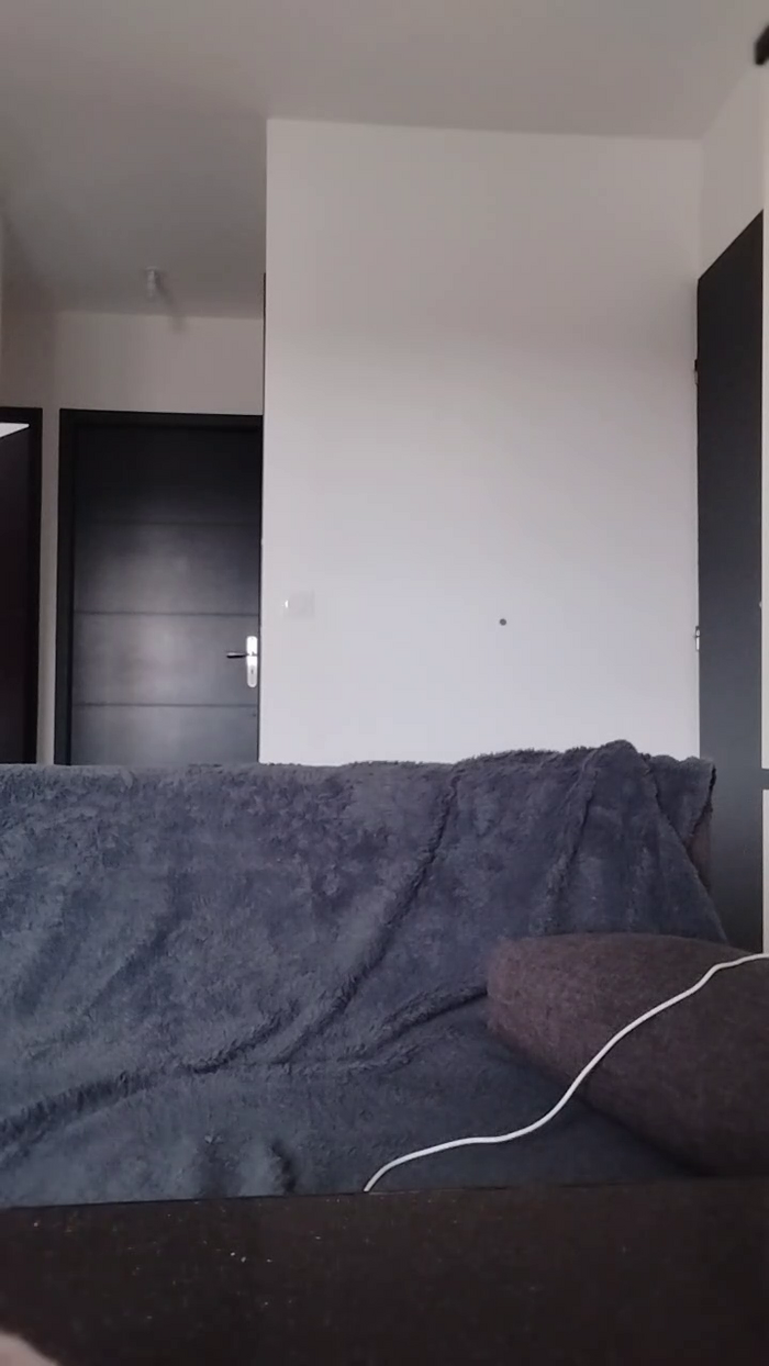 papilloneuse