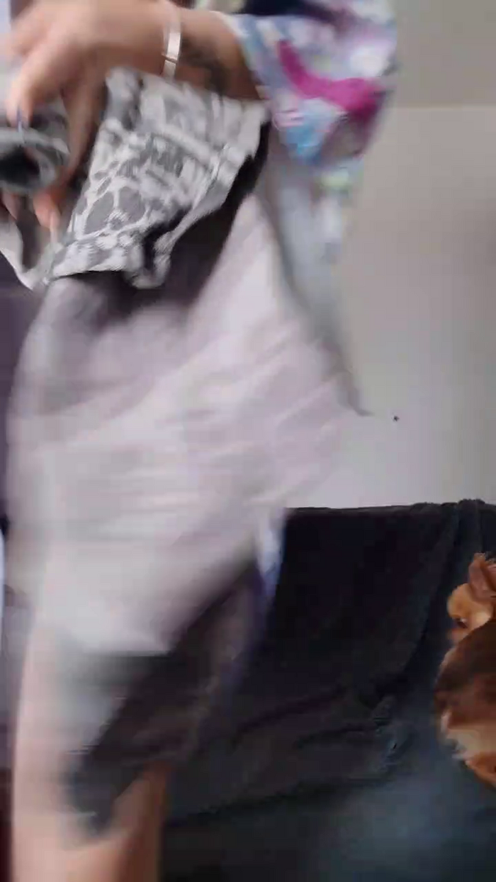papilloneuse