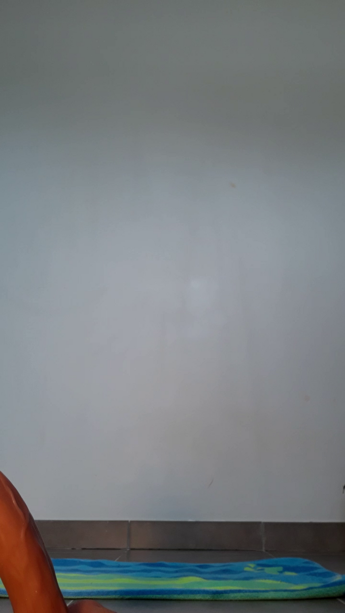 Dollysex6