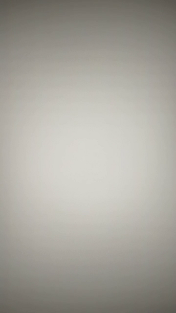 Rai008