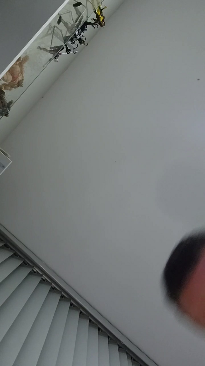 xxMorenosexx