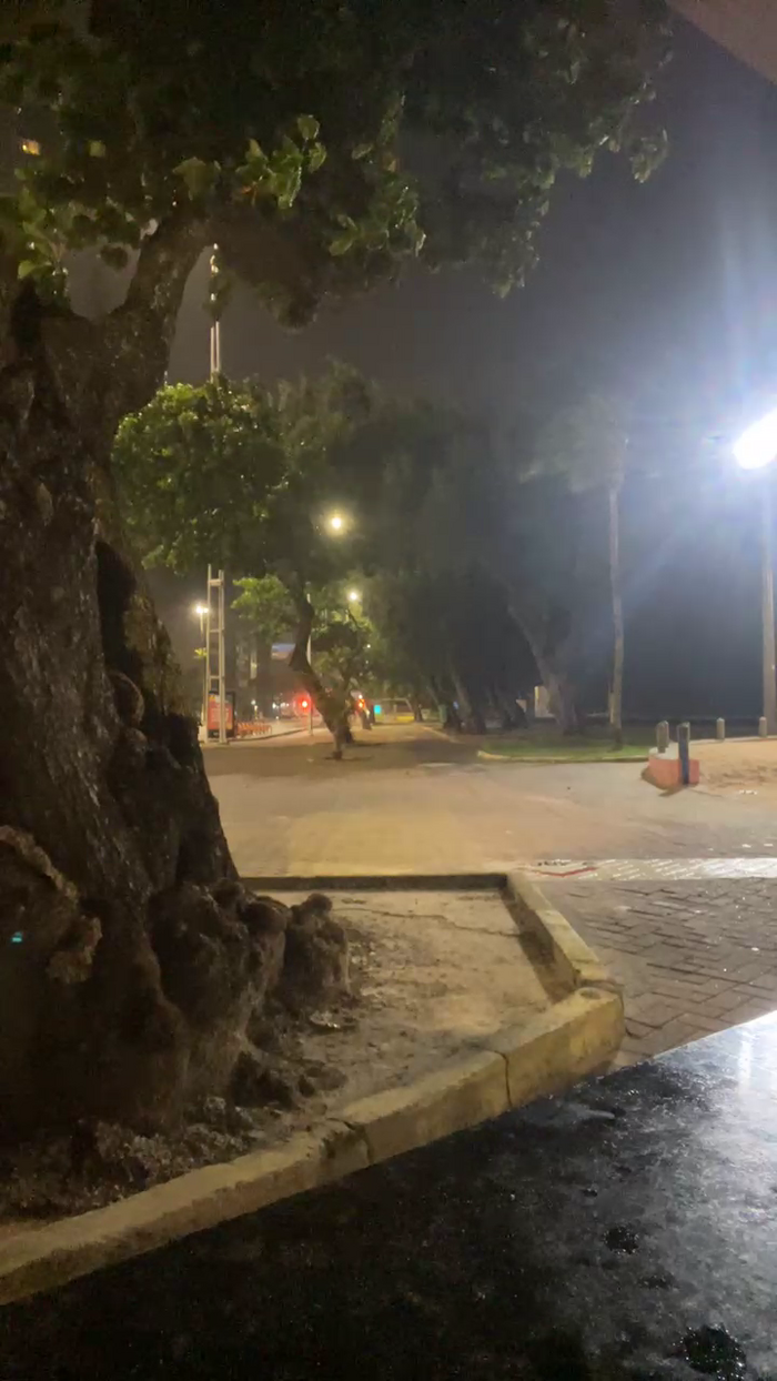 MachoLutador