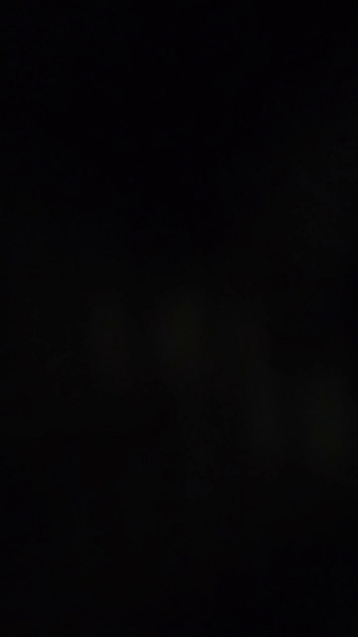 Rai008