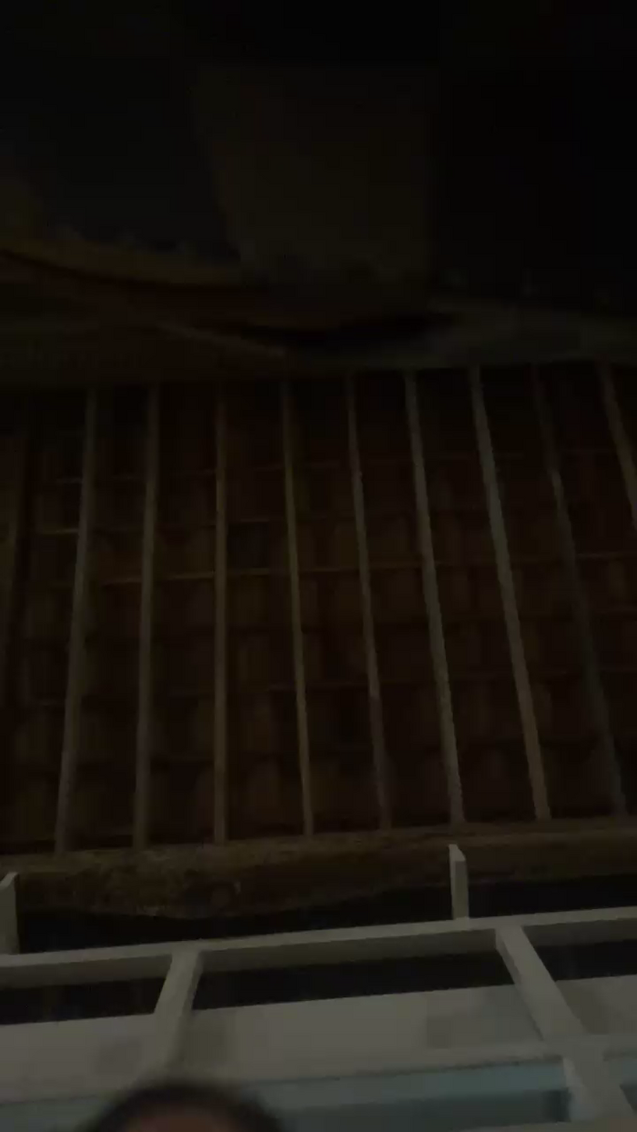 Lauren_44