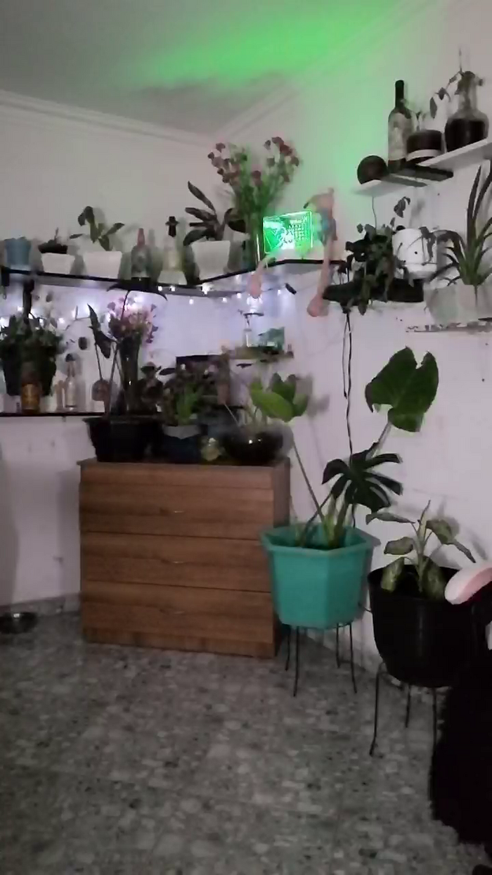 CrazyMom69