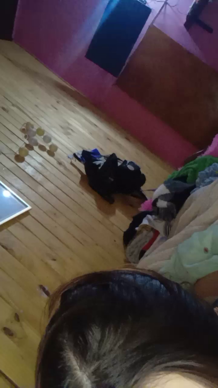 estela33