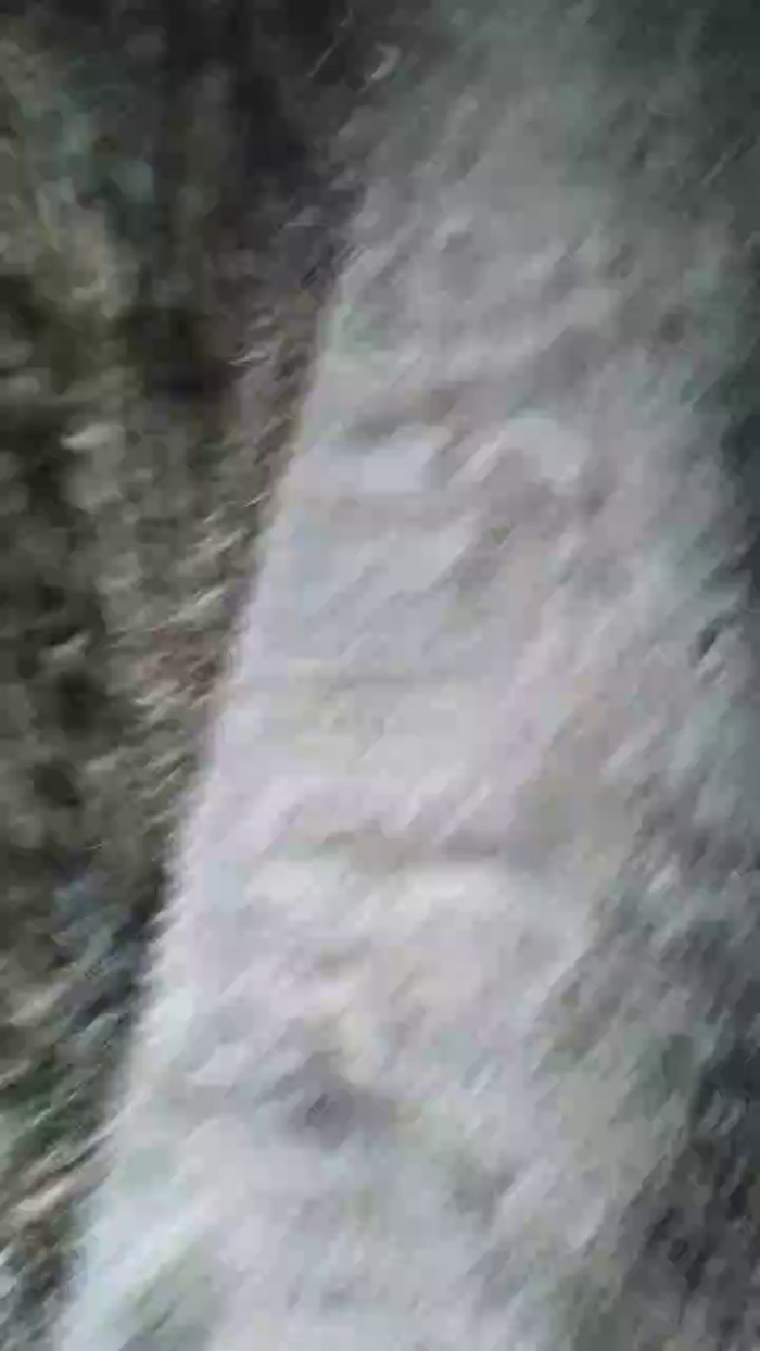 braqueuemar