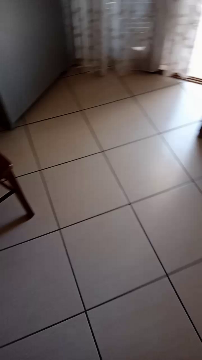 Divertiamoci86