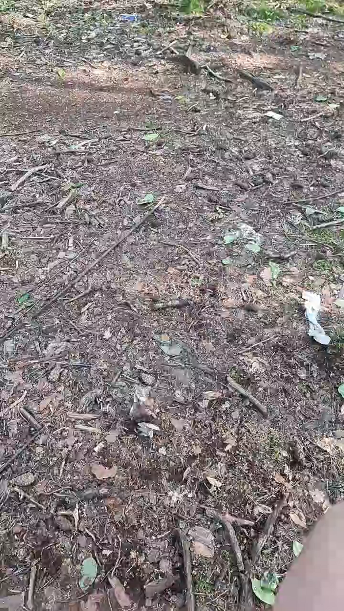 Outdoorgeil1