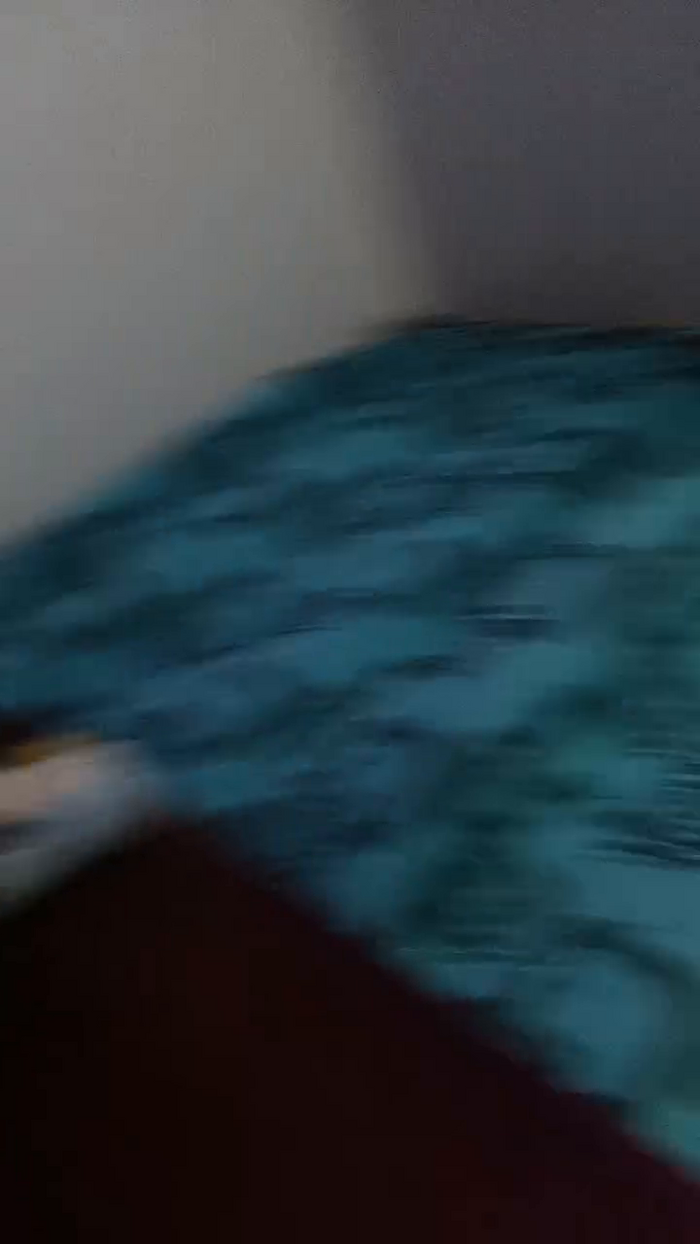 Gatita727