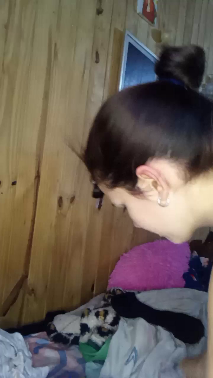 estela33