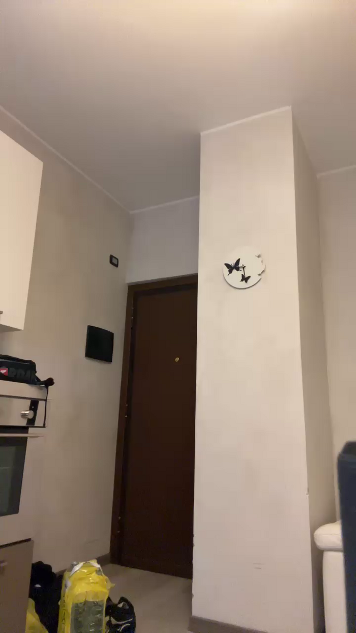 Bigwhitebull