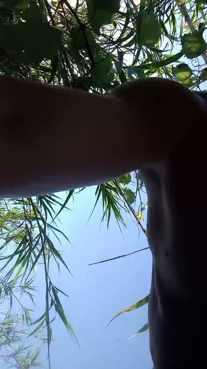 Magagna91