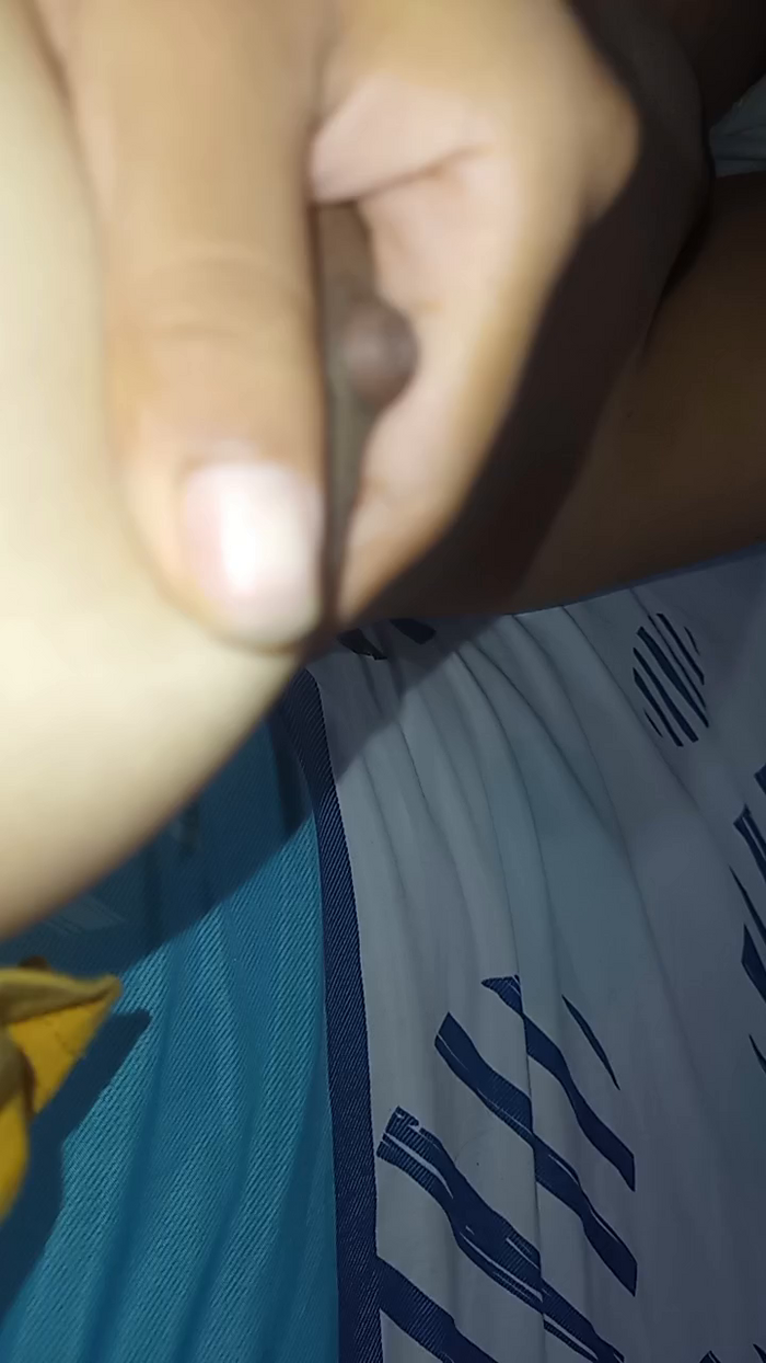 cami08_