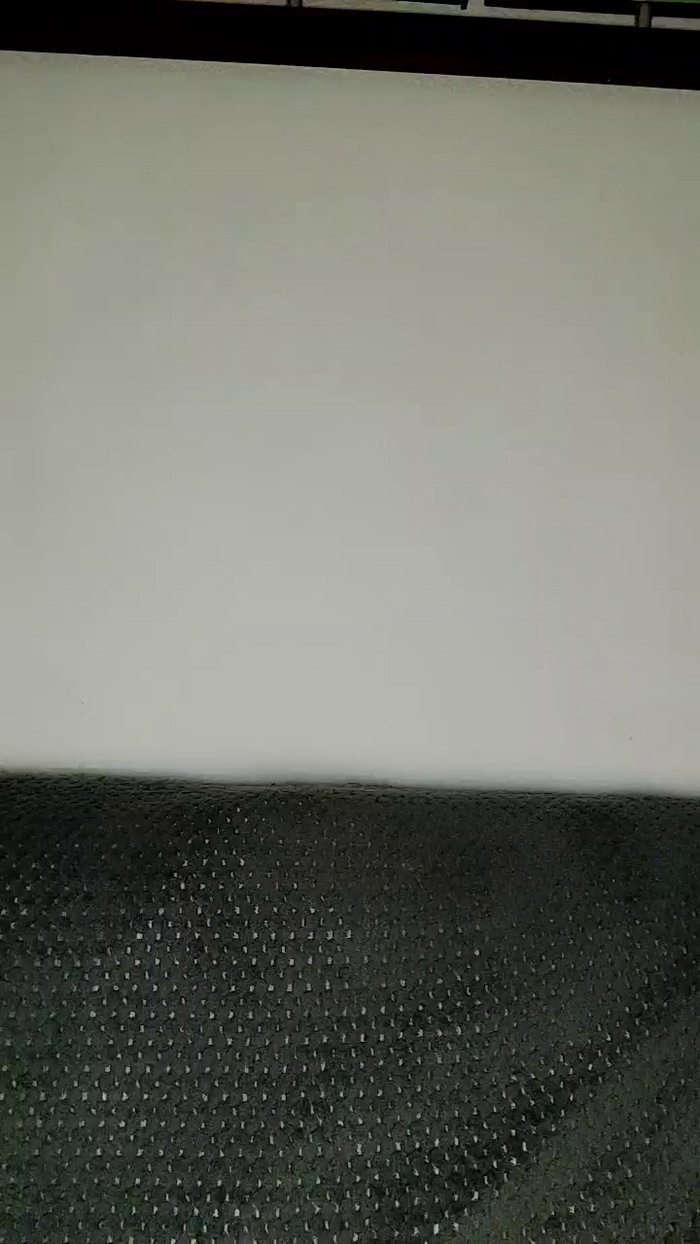 sara_jonnes