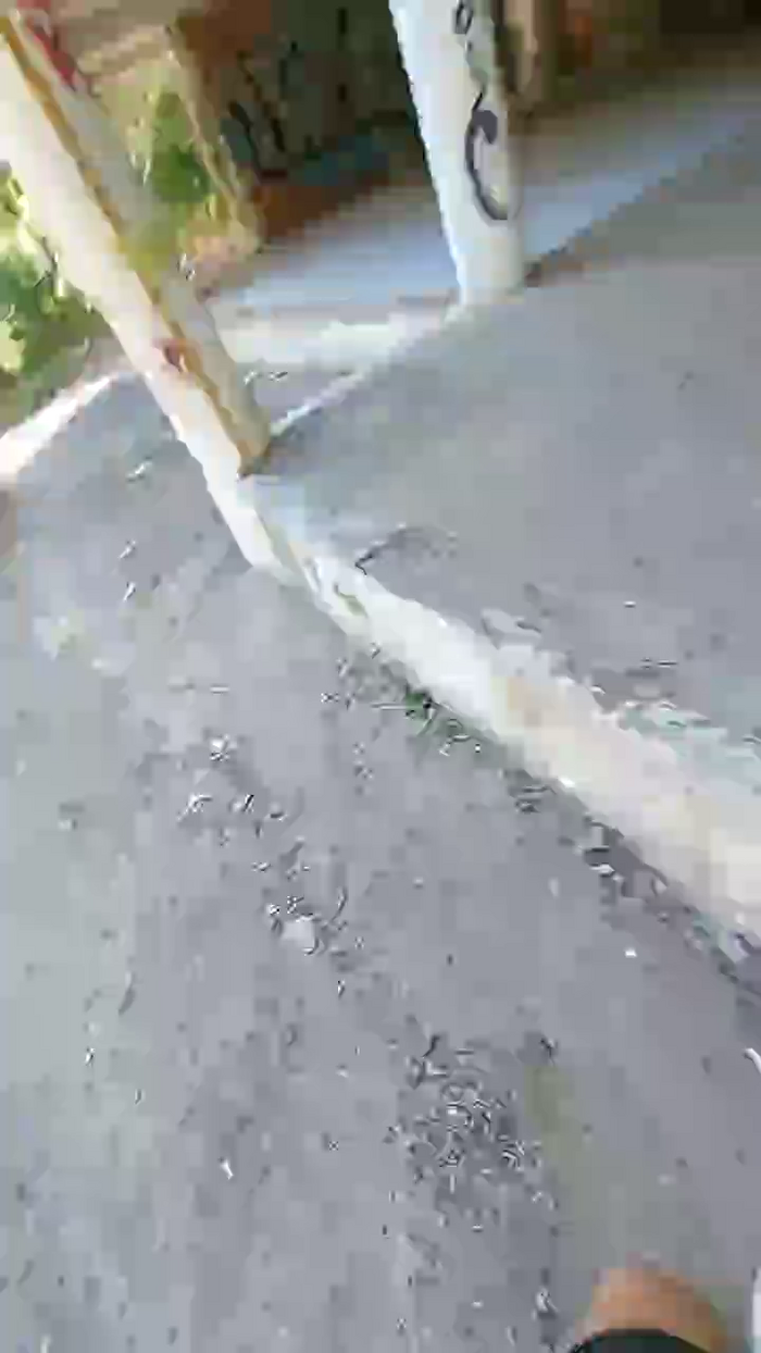 Horny_cruising