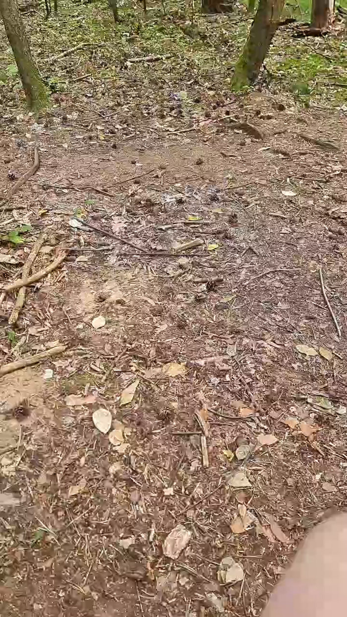 Outdoorgeil1