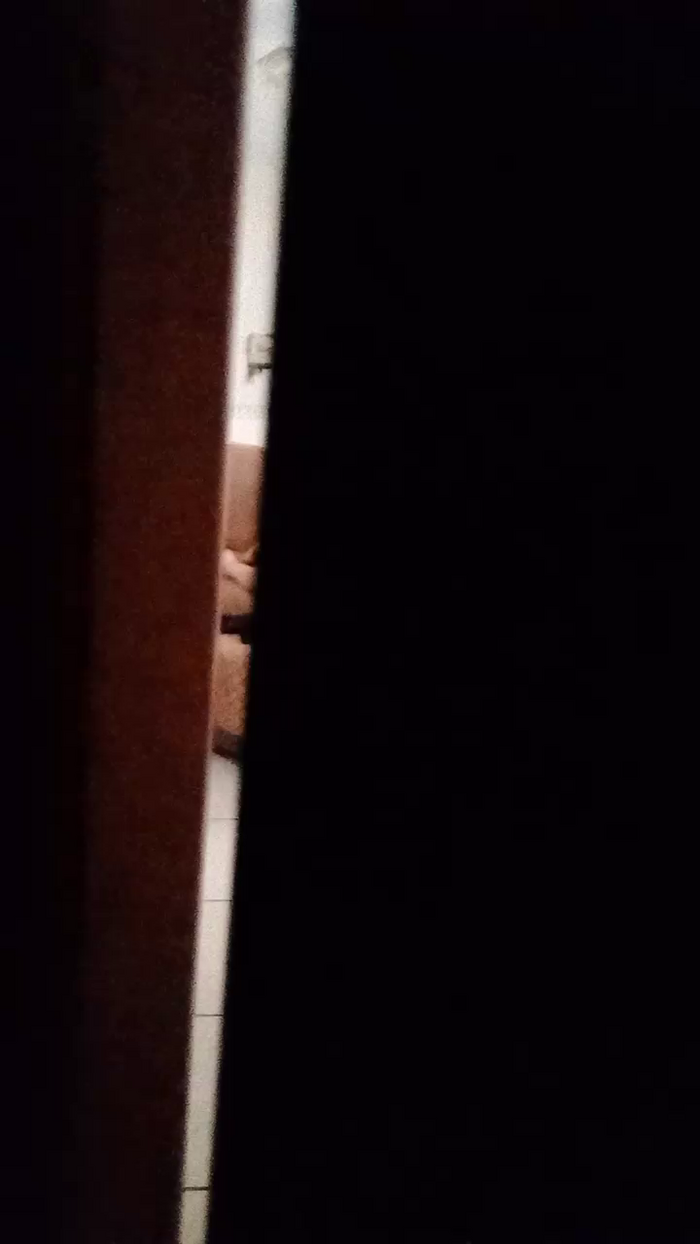 Divertiamoci86