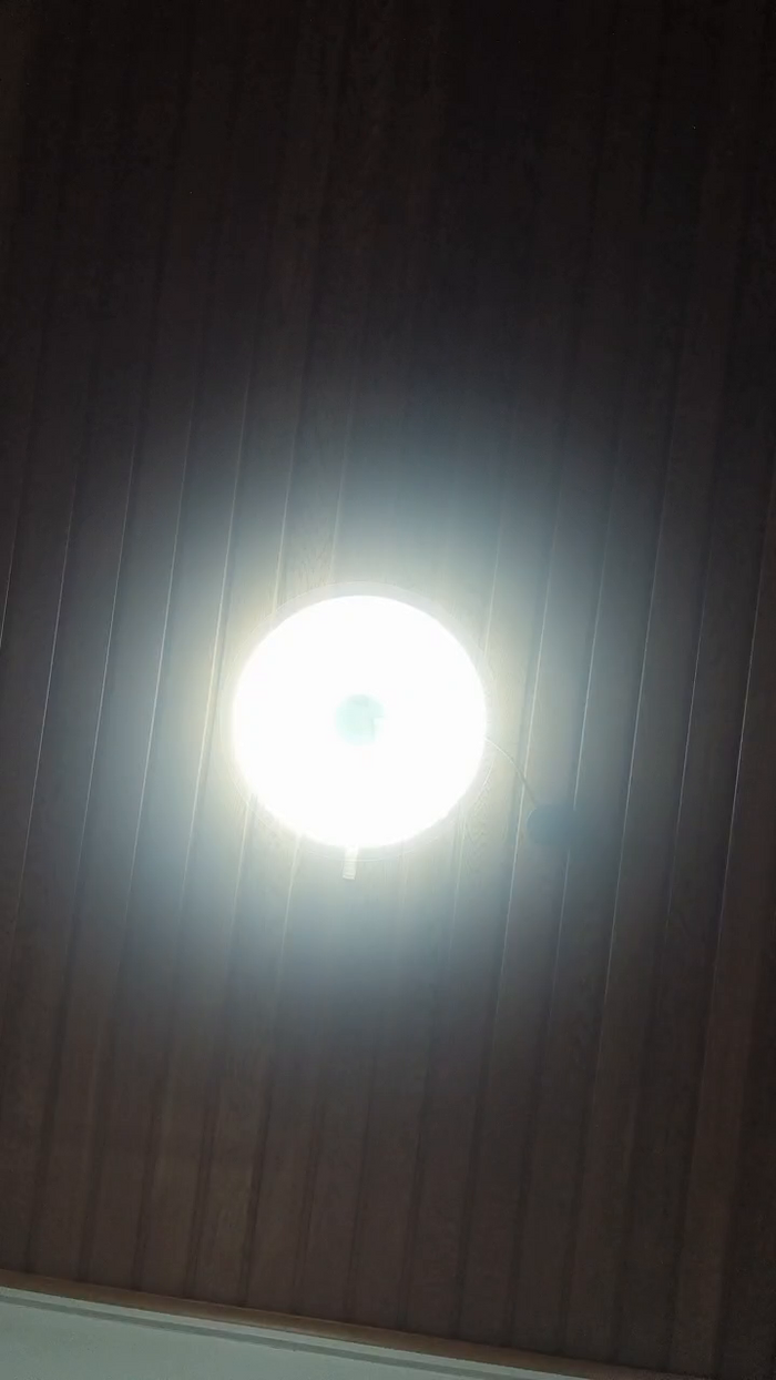 Doperman