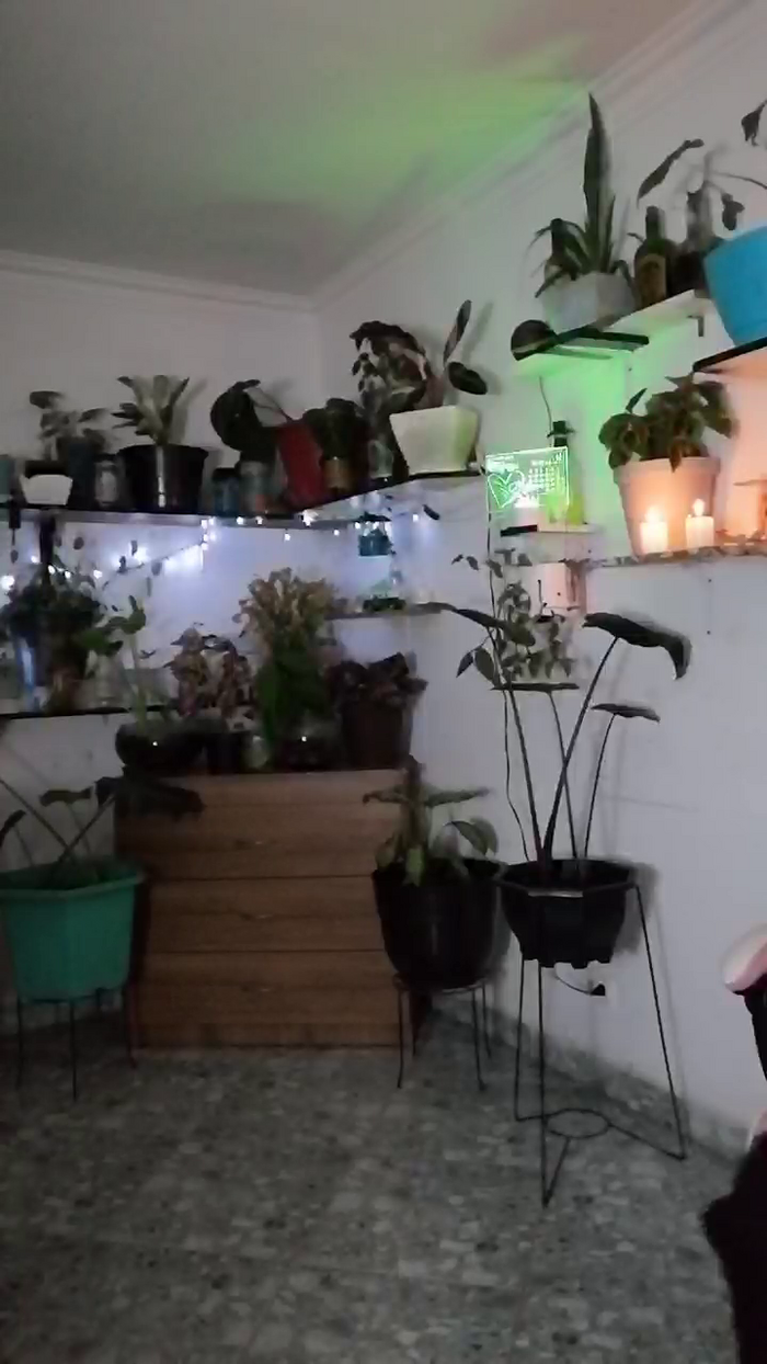 CrazyMom69