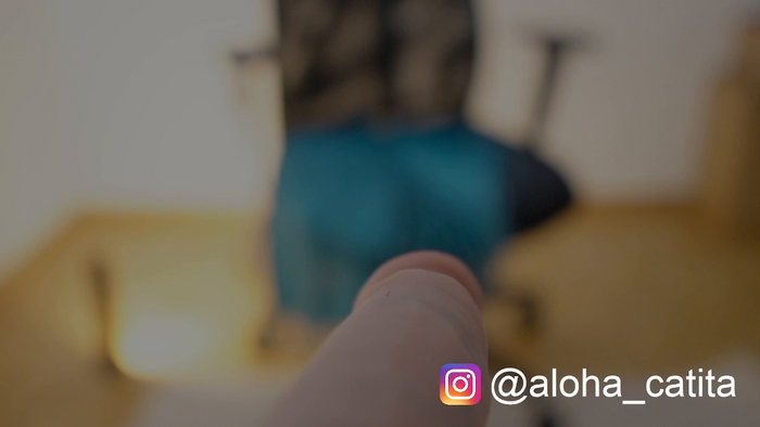 aloha_catita