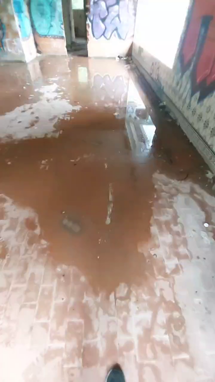 Horny_cruising