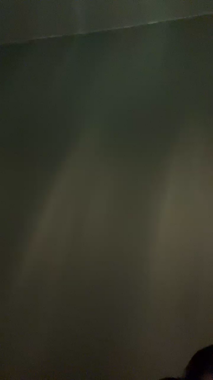 Pollon29_cm