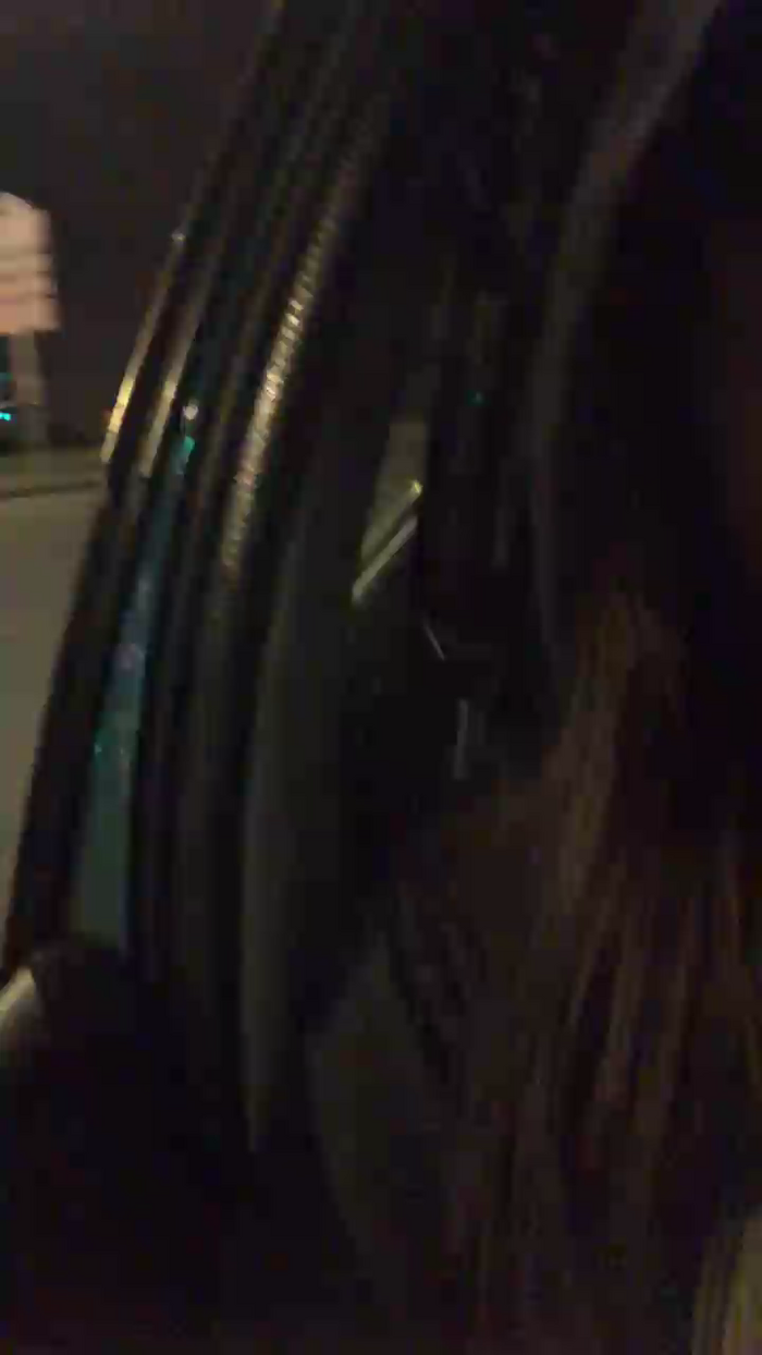 Melissasodomie