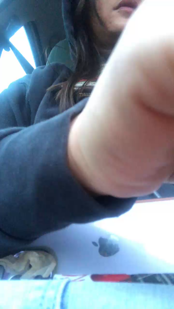 Melissasodomie