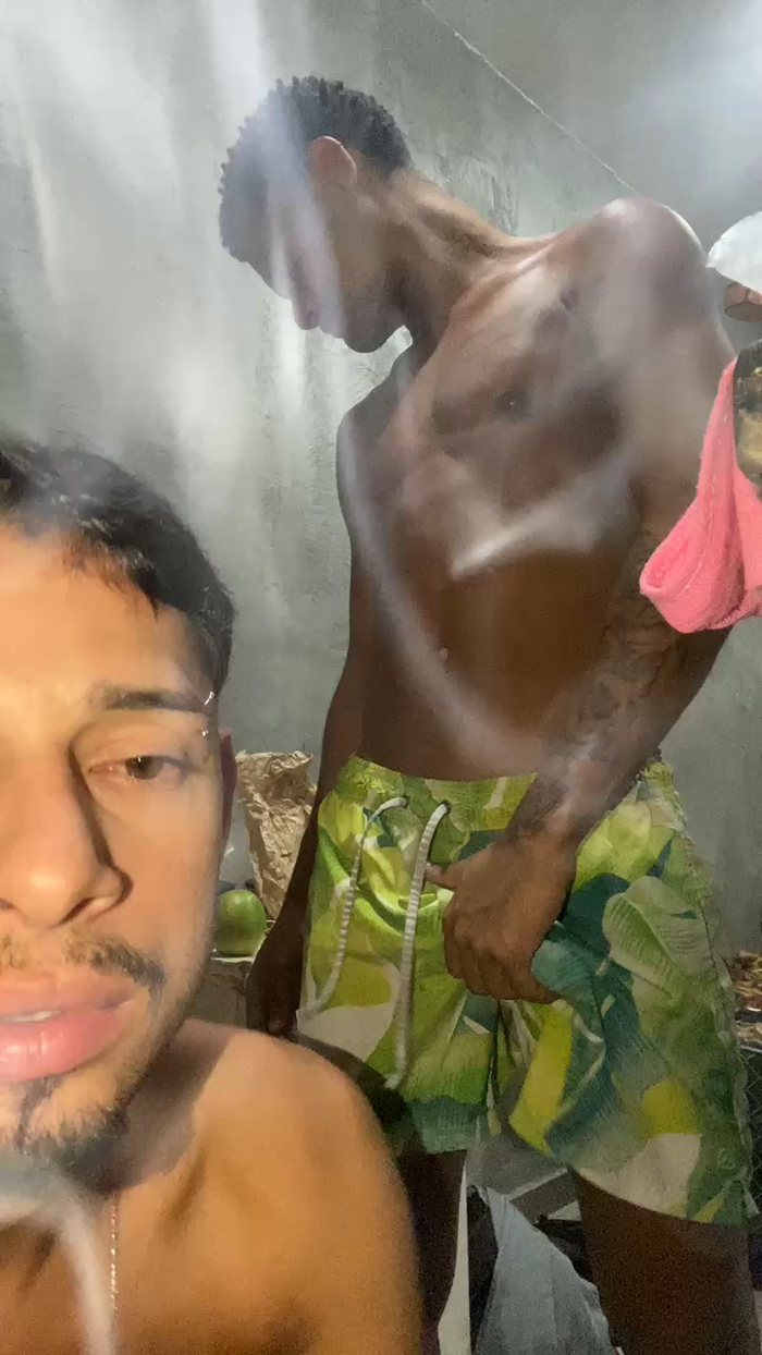 Novinho_do24