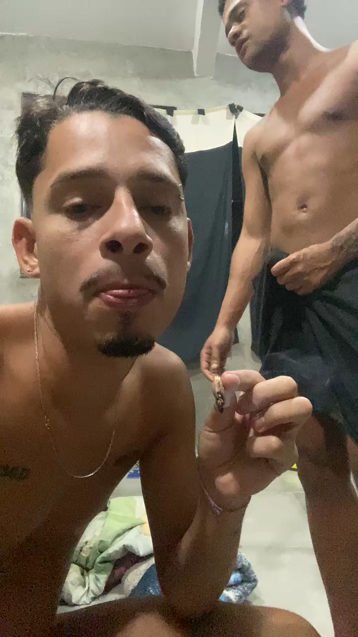 Novinho_do24