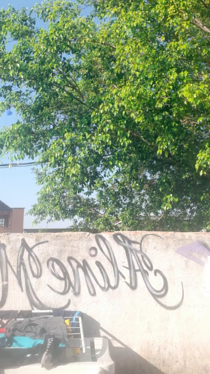 igoramorimgg