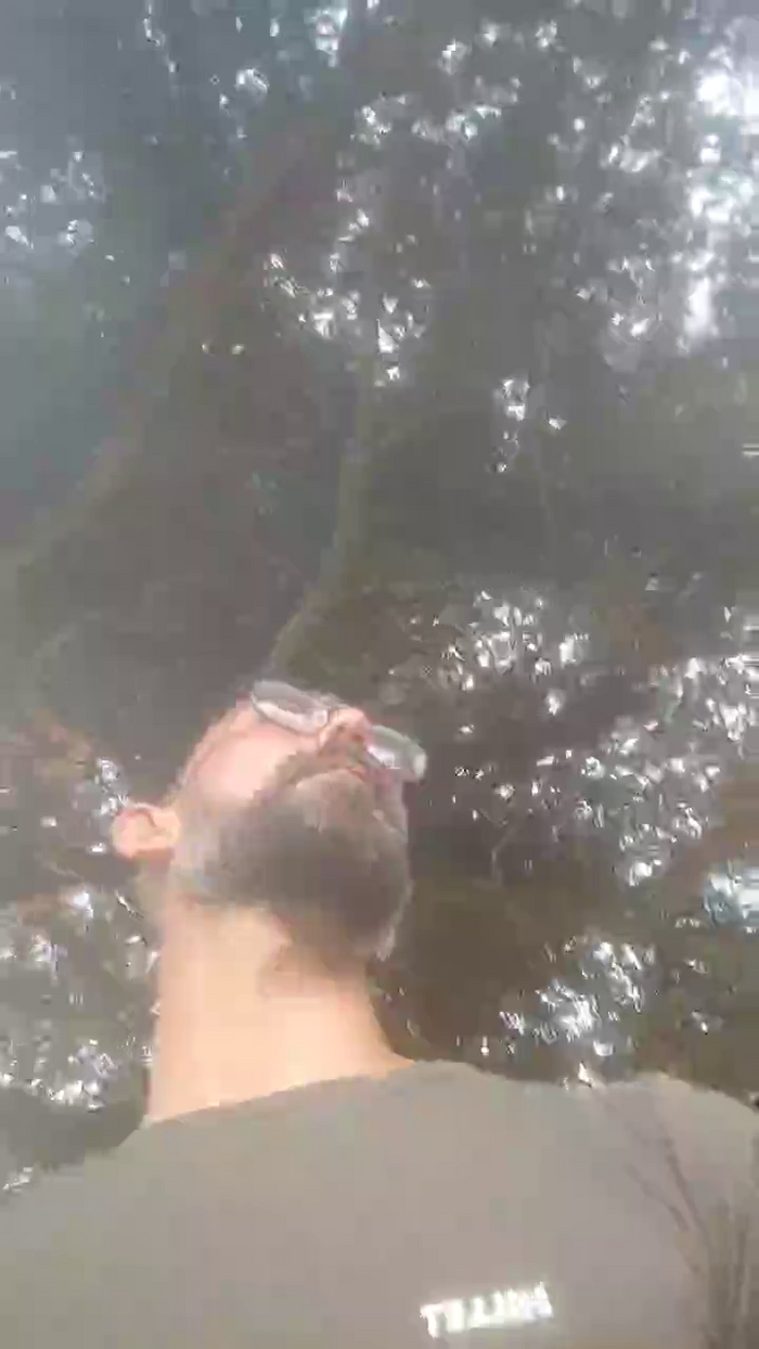 MisterHotman