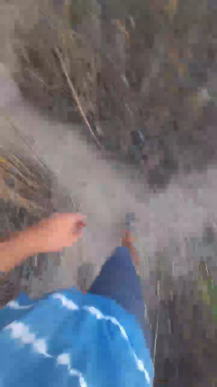 El_ceco