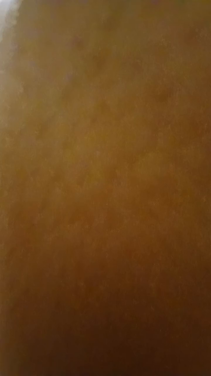 alessandravite1