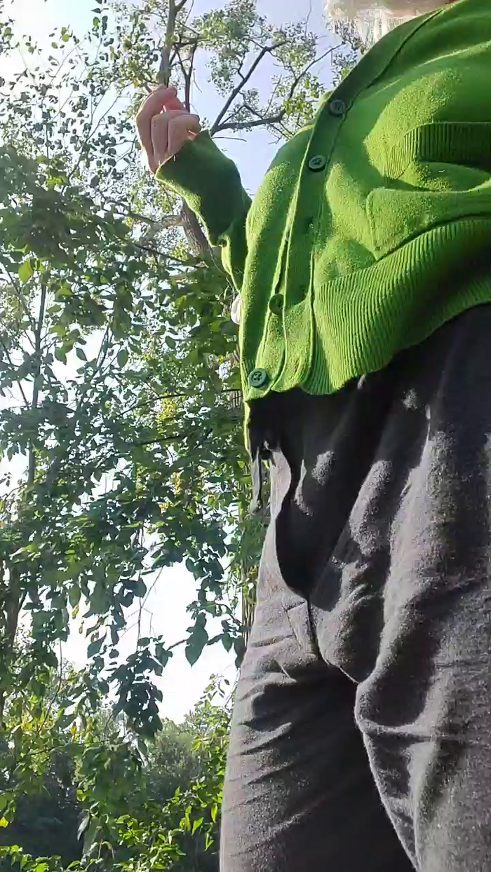 MIKitten